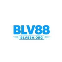 Blv88aorg