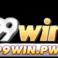 99winpw