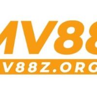 mv88zorg