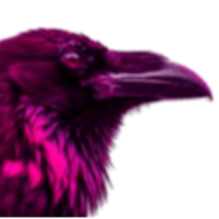 PinkCrow
