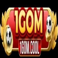 1Gomvnpro1vn