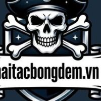 haitacbongdemvn