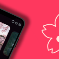 bloomeetunes_com