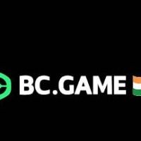 bcgameindia1