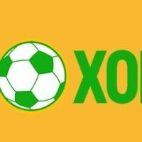 webxoilactvink