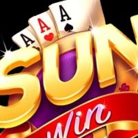 tarinovaartcom2