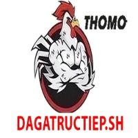 dagatructiepsh