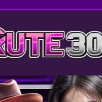 RuteMelaju303