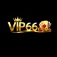vip66vnnet