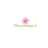 hvphongka