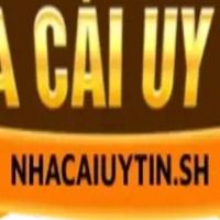 nhacaiuytinsh2