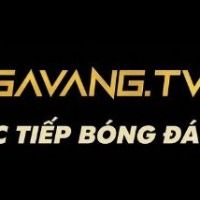gavangtvsbs