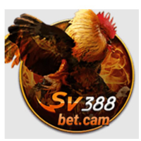 sv388betcam1