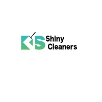 shinycleaners0