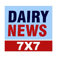 dairynews7x7