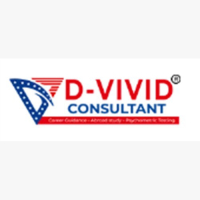 dvividconsultant