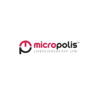 Micropolis