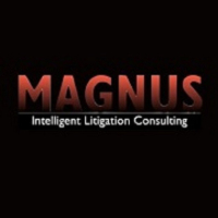 magnusconsultants