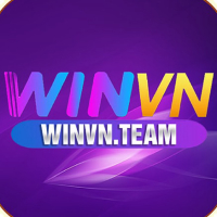 winvnteam