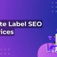 whitelabelseo124