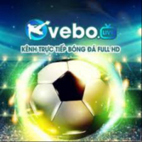 vebotv0
