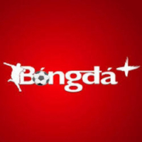 tinbong2024net